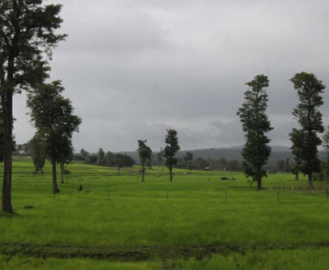 Beautiful 2 Days 1 Night Coorg with Ooty Holiday Package
