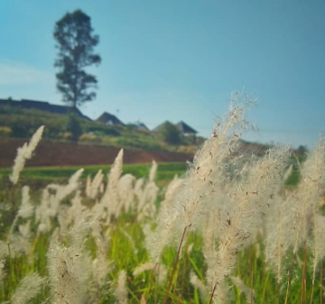 Heart-warming 3 Days 2 Nights Coonoor Holiday Package