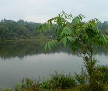 Magical 5 Days Bangalore, Coorg, Ooty and Coonoor Vacation Package