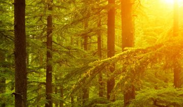 Beautiful 7 Days Delhi to Dharamshala Holiday Package