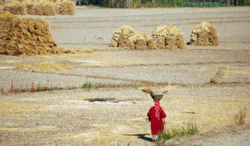 4 Days Srinagar Vacation Package by Earn And TravelsCom