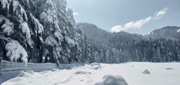 Heart-warming 4 Days Mcleodganj and Triund Holiday Package