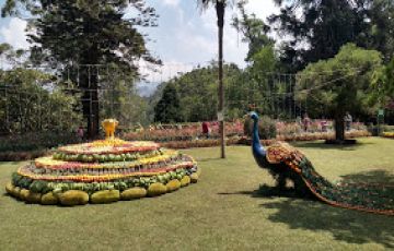 Magical 3 Days 2 Nights Ooty Vacation Package