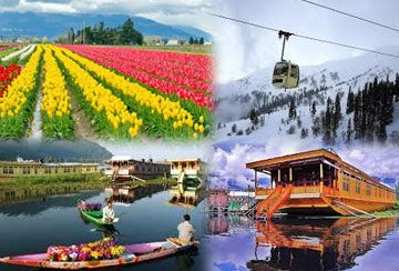Memorable 6 Days 5 Nights Srinagar  Sonmarg  Srinagar 168 Kms Vacation Package
