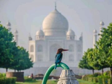 Heart-warming 2 Days 1 Night Agra with New Delhi Tour Package