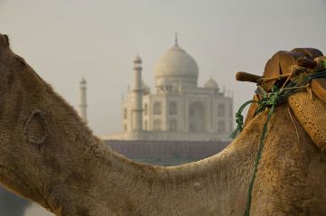 Pleasurable 2 Days New Delhi to Agra Vacation Package