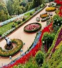 Family Getaway Manali Tour Package for 7 Days