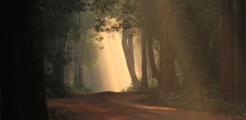 Memorable 4 Days Colombo with Dambulla Tour Package