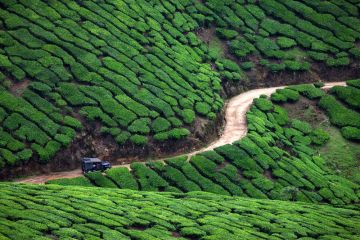 Pleasurable 6 Days Munnar, Kumarakom, Alleppey and Thekkady Vacation Package