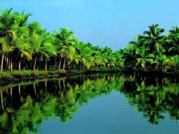 Experience Cochin To Munnar 140 Km In Approximately 45 Hours Tour Package for 8 Days 7 Nights from Kovalam - Trivandrum Departure Day