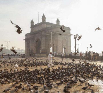 Best 2 Days Mumbai Holiday Package by Easy Your Holiday