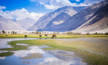 Experience 6 Days Leh, Leh  Sham Region  Leh 124 Kms 5-6 Hrs, Leh - Nubra Valley 120 Kms 4-5 Hrs with Nubravalleypangonglakeviashayok Vacation Package