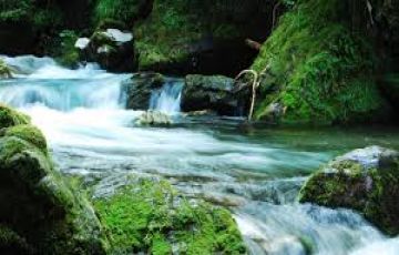 Ecstatic 3 Days 2 Nights Calicut Tour Package