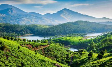 4 Days 3 Nights Cochin to Munnar Tour Package