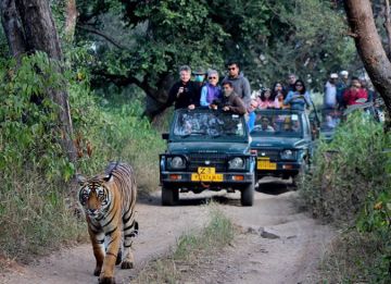 Amazing 3 Days Ranthambore - Jaipur to Jaipur - Ranthambore Trip Package