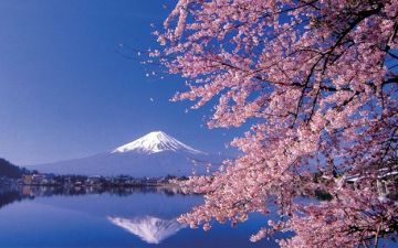 Heart-warming 4 Days 3 Nights Tokyo Tour Package