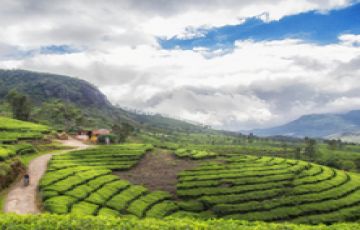 Family Getaway 5 Days 4 Nights Munnar Wildlife Vacation Package