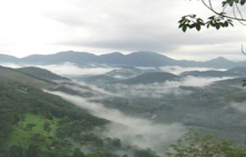 Family Getaway 5 Days 4 Nights Munnar Wildlife Vacation Package