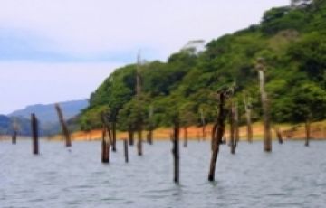 Family Getaway 5 Days 4 Nights Munnar Wildlife Vacation Package