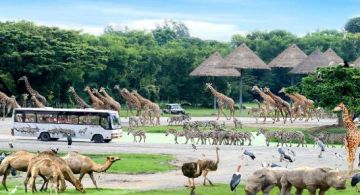 4 Island Tour With Lunch Tour Package for 6 Days