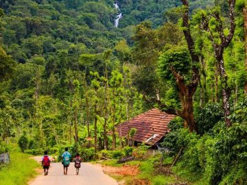 Best 6 Days Bangalore to Coorg Tour Package