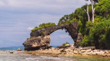 Ecstatic Havelock Island Tour Package for 6 Days