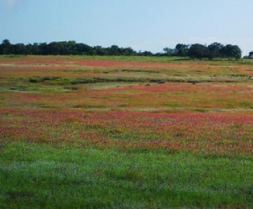 Pleasurable 6 Days 5 Nights Mumbai, Lonavala, Matheran with Lavasa Trip Package