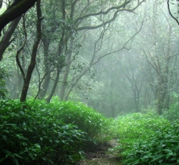 Memorable Matheran Tour Package for 6 Days from Mumbai