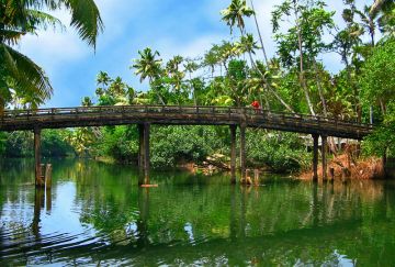 Experience Thekkady Tour Package for 8 Days 7 Nights from Trivandrum