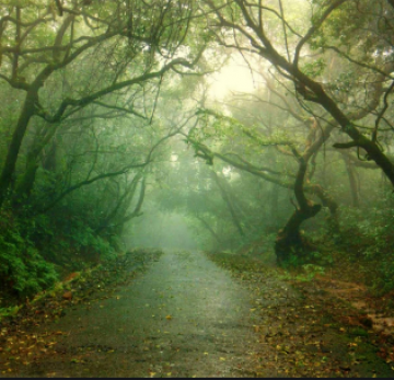 Family Getaway 2 Days Mumbai with Mahabaleshwar Tour Package