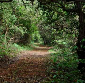 Family Getaway 2 Days Mumbai with Mahabaleshwar Tour Package