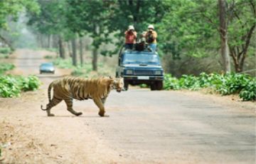 Magical Nagpur Tour Package for 3 Days