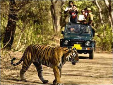 Family Getaway 3 Days Delhi to Jim Corbett Tour Package