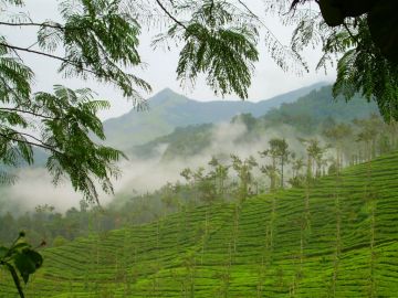 2 N Coorg - 2 N Wayanad