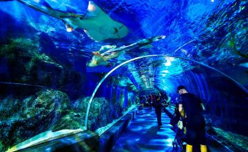 Experience 3 Days 2 Nights Bangkok Vacation Package Experience 3 Days 2 Nights Bangkok Vacation Package