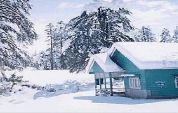 Amazing Shimla Tour Package for 5 Days from Manali