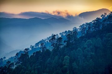 Family Getaway 6 Days 5 Nights Kausani Tour Package