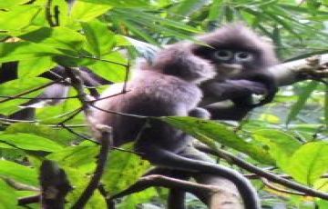 3 Days 2 Nights Dhaka with Dhak Tour Package