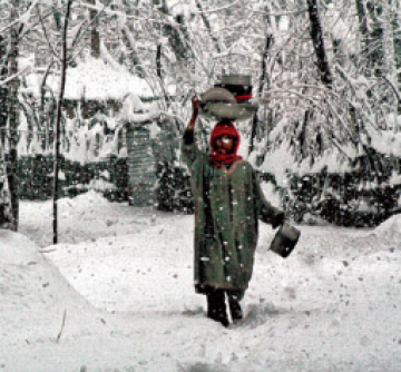 Family Getaway 2 Days 1 Night Shimla and Manali Vacation Package