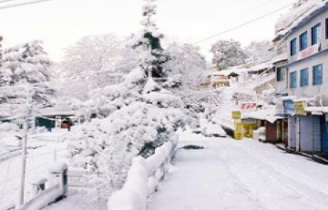 Heart-warming 3 Days 2 Nights Shimla and Manali Tour Package