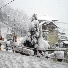 Heart-warming 3 Days 2 Nights Shimla and Manali Tour Package