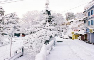 Heart-warming 4 Days Manali to Solang Valley Vacation Package