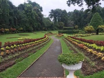 Best Colombo Tour Package for 4 Days 3 Nights