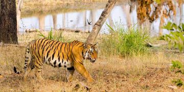 Magical 3 Days 2 Nights Nagpur Trip Package