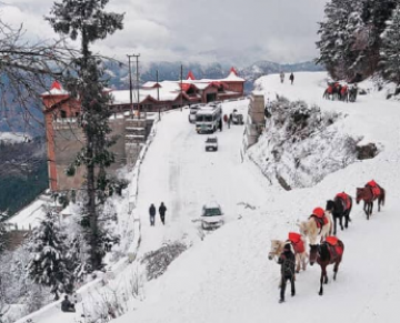 Heart-warming 3 Days Shimla and Manali Vacation Package
