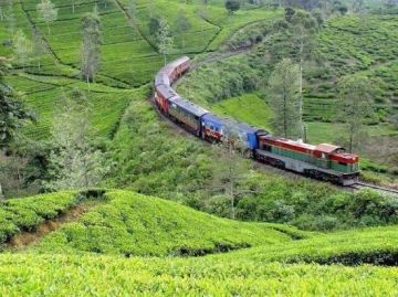 Family Getaway 7 Days Colombo to Nuwara Eliya Trip Package