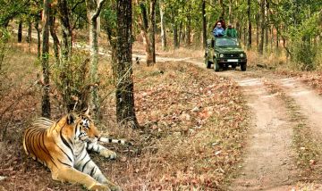 Jim Corbett with New Delhi Tour Package for 3 Days 2 Nights from New Delhi