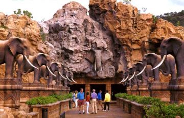 Magical 13 Days Johannesburg, Mossel Bay with Cape_town Holiday Package