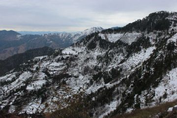 Heart-warming Dhanaulti Tour Package from New Delhi