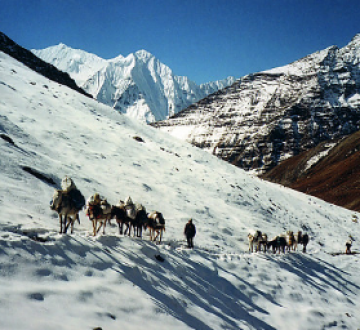 Solang Valley Tour Package for 5 Days from Manali